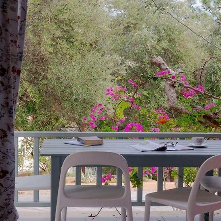 Mihaila Bungalows Spartia  Ngoại thất bức ảnh